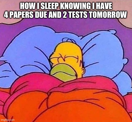 Like literally | HOW I SLEEP KNOWING I HAVE 4 PAPERS DUE AND 2 TESTS TOMORROW | image tagged in homer simpson sleeping peacefully | made w/ Imgflip meme maker