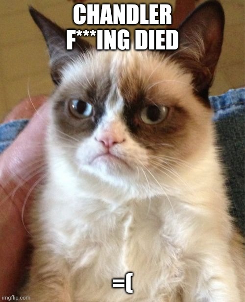 =( | CHANDLER F***ING DIED; =( | image tagged in memes,grumpy cat | made w/ Imgflip meme maker