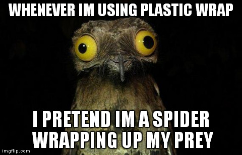 Wierd stuff I do potoo | WHENEVER IM USING PLASTIC WRAP I PRETEND IM A SPIDER WRAPPING UP MY PREY | image tagged in wierd stuff i do potoo,AdviceAnimals | made w/ Imgflip meme maker