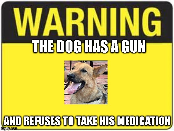 Lucas Vexorg | THE DOG HAS A GUN; AND REFUSES TO TAKE HIS MEDICATION | image tagged in blank warning sign | made w/ Imgflip meme maker