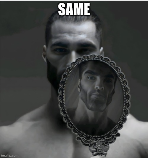 Gigachad Mirror | SAME | image tagged in gigachad mirror | made w/ Imgflip meme maker