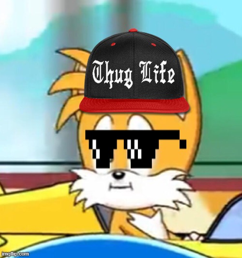 Tails hold up | image tagged in tails hold up | made w/ Imgflip meme maker