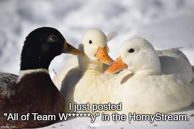 Dunkin Ducks | I just posted 
"All of Team W******y" in the HornyStream. | image tagged in dunkin ducks | made w/ Imgflip meme maker