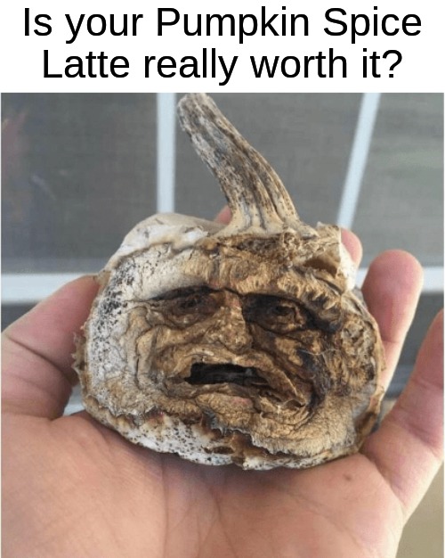 Probably not...the poor pumpkin | Is your Pumpkin Spice Latte really worth it? | image tagged in memes,funny,halloween,spooky month,pumpkin spice,starbucks | made w/ Imgflip meme maker