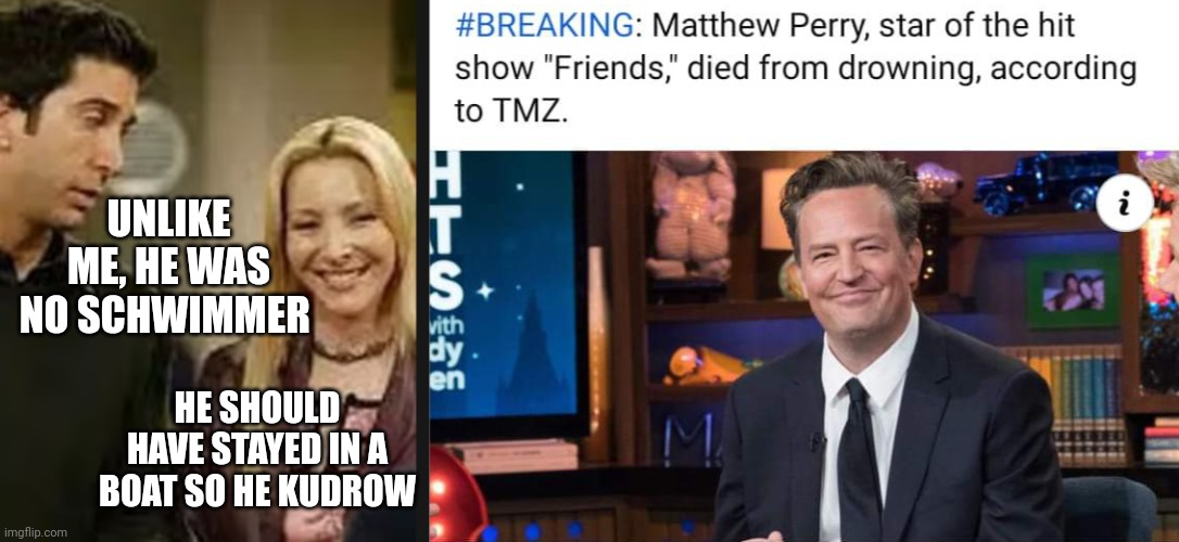 David Schwimmer and Lisa Kudrow Comment On Drowning Death Of Matthew Perry | UNLIKE ME, HE WAS NO SCHWIMMER; HE SHOULD HAVE STAYED IN A BOAT SO HE KUDROW | image tagged in david schwimmer,lisa kudrow,matthew perry,friends,drowning,funny memes | made w/ Imgflip meme maker