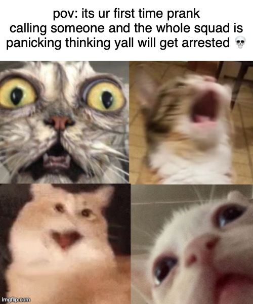 guys if they actually were bold enough to answer a call from a stranger theyre definitely not gonna report u lol | pov: its ur first time prank calling someone and the whole squad is panicking thinking yall will get arrested 💀 | made w/ Imgflip meme maker