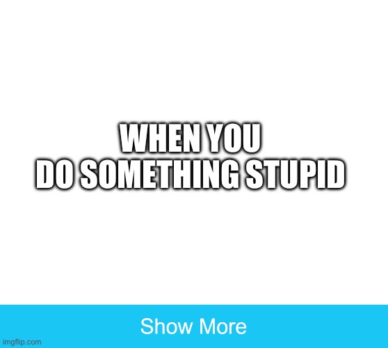 Lol | WHEN YOU DO SOMETHING STUPID | image tagged in show more | made w/ Imgflip meme maker