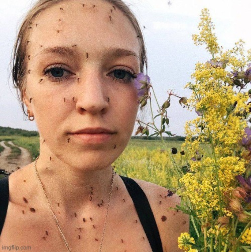 Mosquito Lady | image tagged in mosquito lady | made w/ Imgflip meme maker