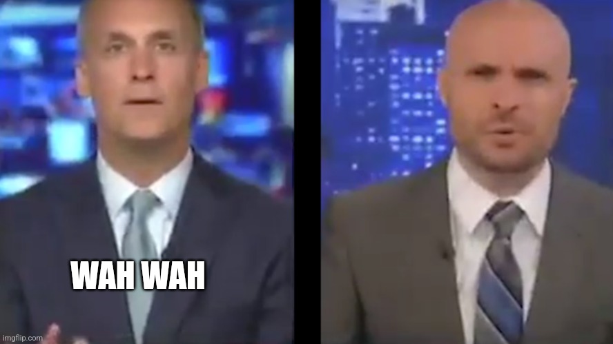 WOMP WOMP | WAH WAH | image tagged in womp womp | made w/ Imgflip meme maker