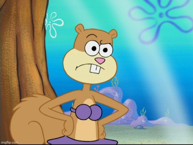 Sandy Cheeks Suspicious | image tagged in sandy cheeks suspicious | made w/ Imgflip meme maker