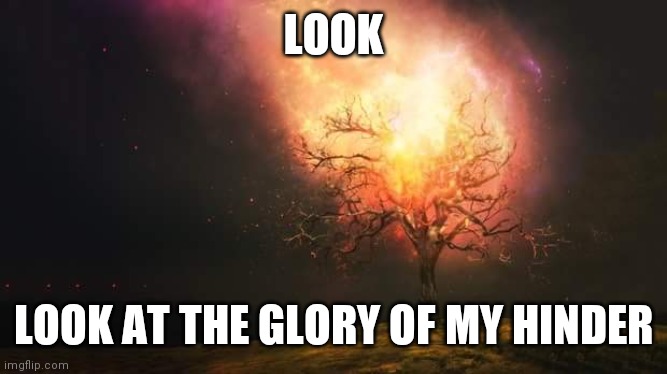 burning bush | LOOK LOOK AT THE GLORY OF MY HINDER | image tagged in burning bush | made w/ Imgflip meme maker