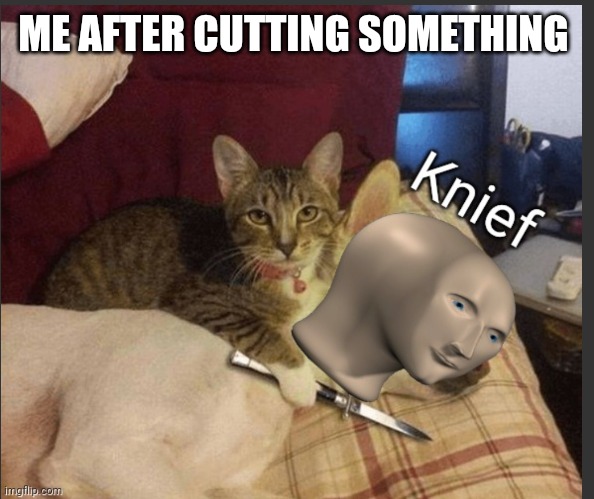 Knief | ME AFTER CUTTING SOMETHING | image tagged in knief | made w/ Imgflip meme maker