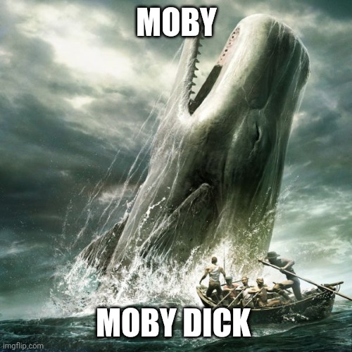 This whale must have a big dick. Now the name makes sense | MOBY; MOBY DICK | image tagged in moby dick | made w/ Imgflip meme maker