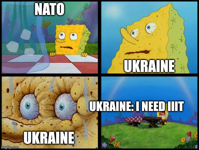 Spongebob - "I Don't Need It" (by Henry-C) | NATO; UKRAINE; UKRAINE: I NEED IIIT; UKRAINE | image tagged in spongebob - i don't need it by henry-c,ukraine | made w/ Imgflip meme maker