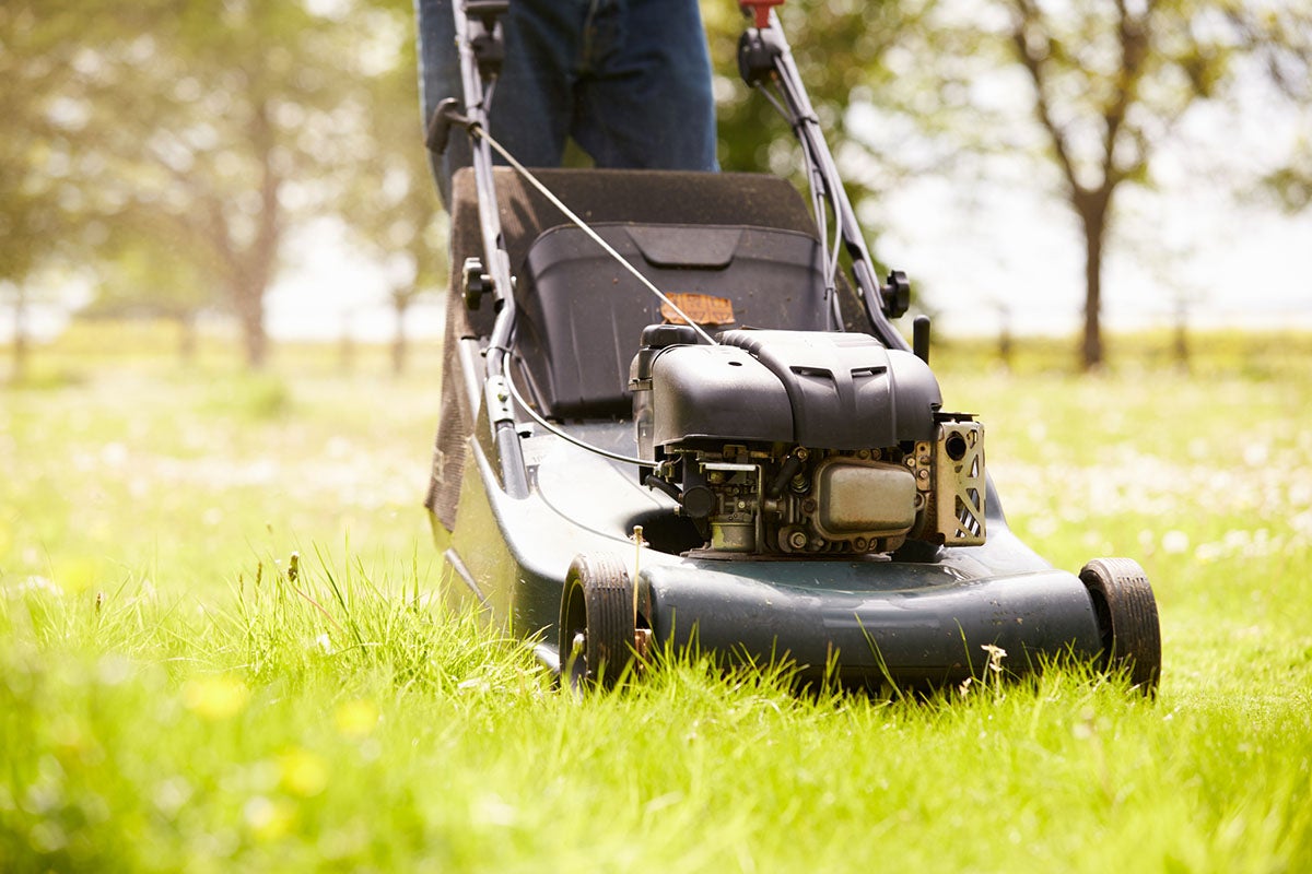 Lawnmower Blank Meme Template