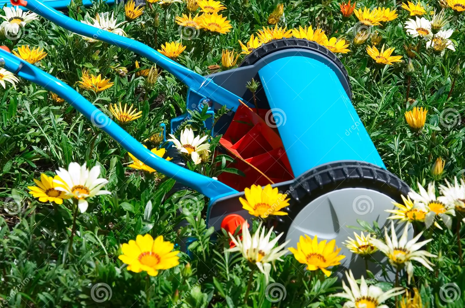 High Quality Mowing flowers Blank Meme Template