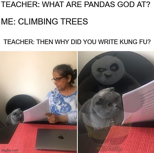 oops... to mutch dreamworks | TEACHER: WHAT ARE PANDAS GOD AT? ME: CLIMBING TREES; TEACHER: THEN WHY DID YOU WRITE KUNG FU? | image tagged in woman showing paper to cat | made w/ Imgflip meme maker
