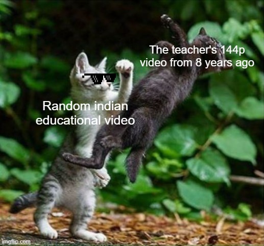 Educational videos be like: | The teacher's 144p video from 8 years ago; Random indian educational video | image tagged in cat punch | made w/ Imgflip meme maker