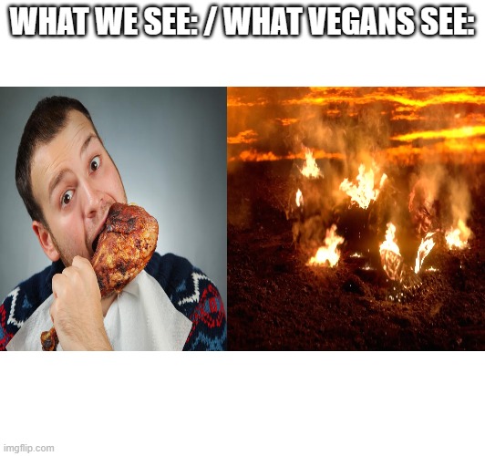 Differences of Meat Eaters and Vegans | WHAT WE SEE: / WHAT VEGANS SEE: | image tagged in food,veganism,meat,lol | made w/ Imgflip meme maker