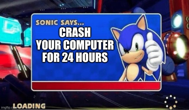 Sonic Says | CRASH YOUR COMPUTER FOR 24 HOURS | image tagged in sonic says | made w/ Imgflip meme maker