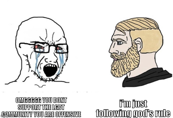 Soyboy Vs Yes Chad | OMGGGGG YOU DONT SUPPORT THE LGBT COMMUNITY YOU ARE OFFENSIVE i'm just following god's rule | image tagged in soyboy vs yes chad | made w/ Imgflip meme maker