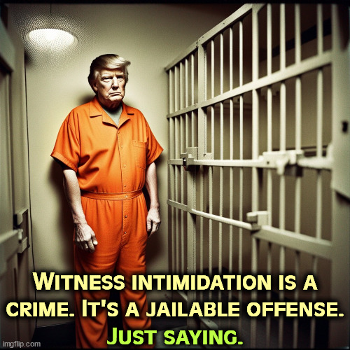 Keep a lid on those threats, Donnie. | Witness intimidation is a crime. It's a jailable offense. Just saying. | image tagged in trump,witness,intimidation,insults,threats,prison | made w/ Imgflip meme maker