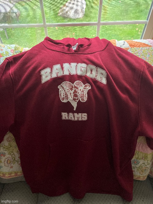 New hoodie :D (oh shit it’s my hometown) | image tagged in rams | made w/ Imgflip meme maker