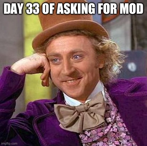 OWNER | DAY 33 OF ASKING FOR MOD | image tagged in memes,creepy condescending wonka | made w/ Imgflip meme maker