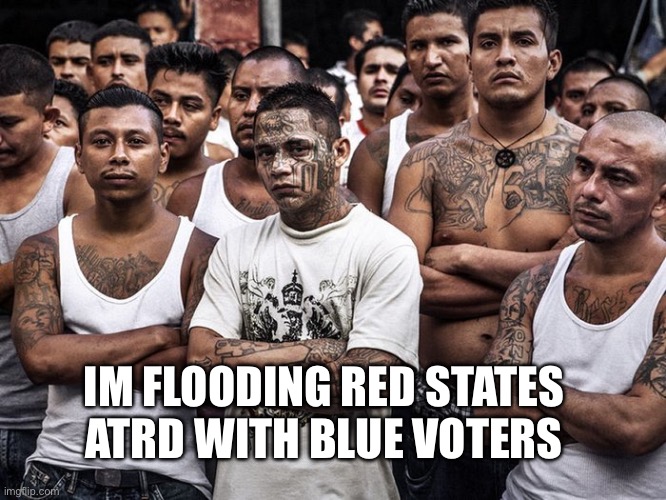 Texas goes blue | IM FLOODING RED STATES ATRD WITH BLUE VOTERS | image tagged in ms13 votes democrat,memes,funny,texas | made w/ Imgflip meme maker