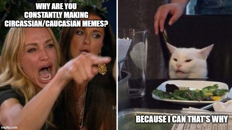 Because I can | WHY ARE YOU CONSTANTLY MAKING CIRCASSIAN/CAUCASIAN MEMES? BECAUSE I CAN THAT'S WHY | image tagged in woman yelling at white cat,funny,memes,sarcasm | made w/ Imgflip meme maker