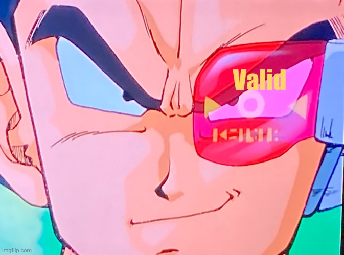 My scouter reads… | Valid | image tagged in my scouter reads | made w/ Imgflip meme maker