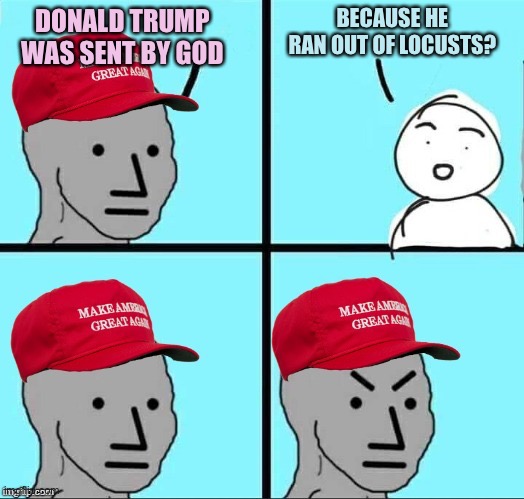 MAGA NPC (AN AN0NYM0US TEMPLATE) | BECAUSE HE RAN OUT OF LOCUSTS? DONALD TRUMP WAS SENT BY GOD | image tagged in maga npc an an0nym0us template,memes | made w/ Imgflip meme maker