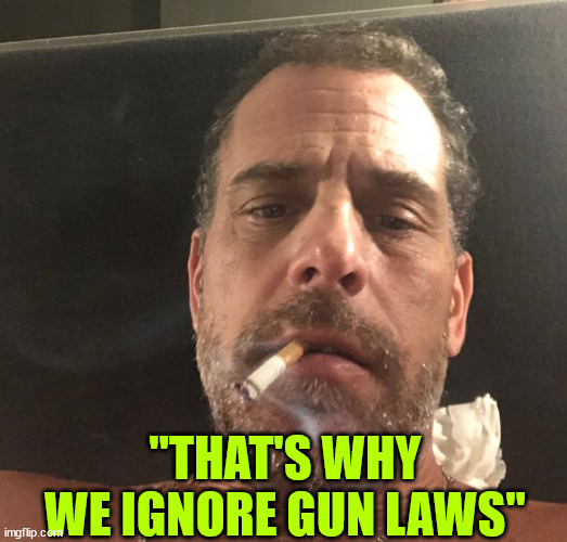 Hunter Biden | "THAT'S WHY WE IGNORE GUN LAWS" | image tagged in hunter biden | made w/ Imgflip meme maker