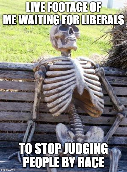 Waiting Skeleton | LIVE FOOTAGE OF ME WAITING FOR LIBERALS; TO STOP JUDGING PEOPLE BY RACE | image tagged in memes,waiting skeleton | made w/ Imgflip meme maker