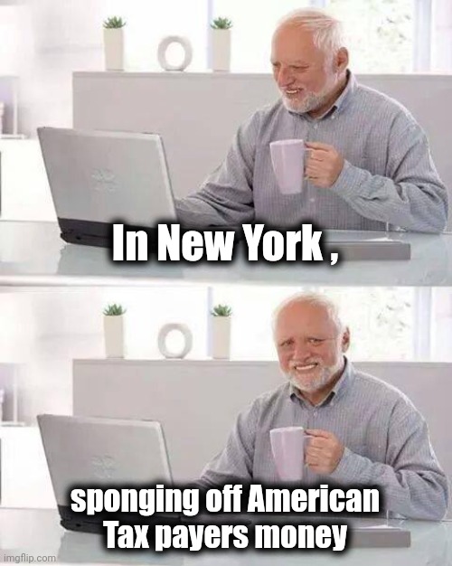 Hide the Pain Harold Meme | In New York , sponging off American
 Tax payers money | image tagged in memes,hide the pain harold | made w/ Imgflip meme maker