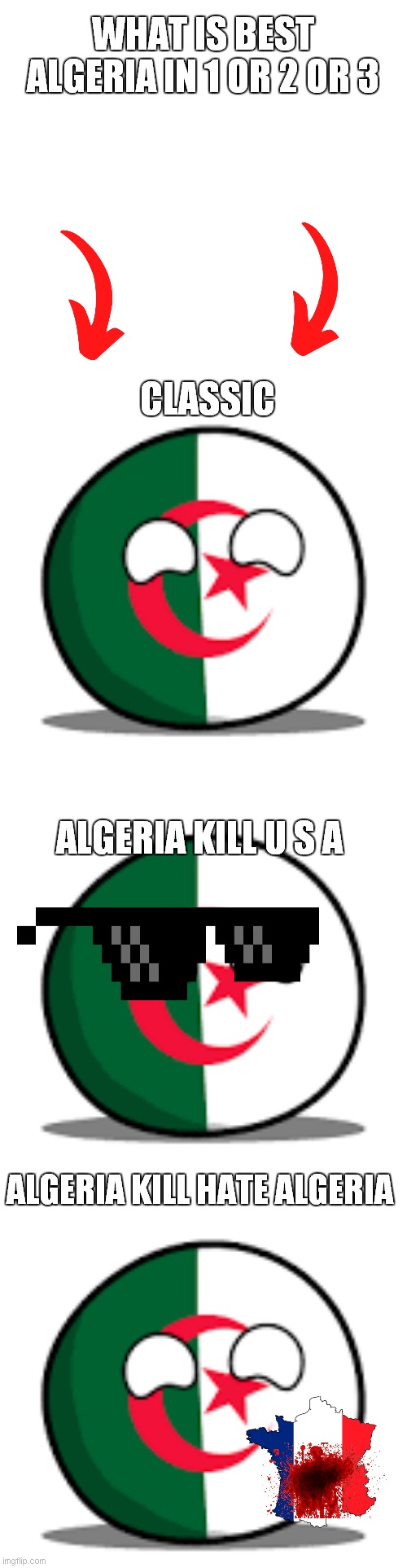 how best algeria 1 or 2 or 3 | WHAT IS BEST ALGERIA IN 1 OR 2 OR 3; CLASSIC; ALGERIA KILL U S A; ALGERIA KILL HATE ALGERIA | image tagged in algeria country ball | made w/ Imgflip meme maker