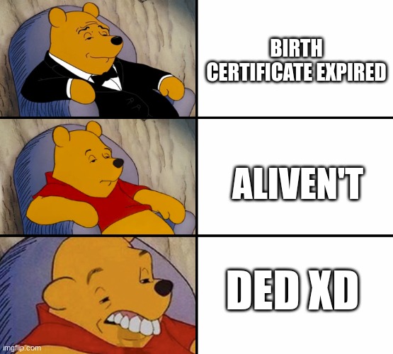 Dead variations | BIRTH CERTIFICATE EXPIRED; ALIVEN'T; DED XD | image tagged in best to worst winnie the pooh meme,funny | made w/ Imgflip meme maker