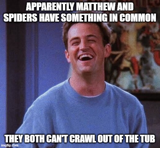 Too Soon? | APPARENTLY MATTHEW AND SPIDERS HAVE SOMETHING IN COMMON; THEY BOTH CAN'T CRAWL OUT OF THE TUB | image tagged in matthew perry | made w/ Imgflip meme maker