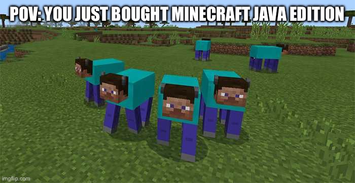 I wanted to make a meme | POV: YOU JUST BOUGHT MINECRAFT JAVA EDITION | image tagged in me and the boys | made w/ Imgflip meme maker