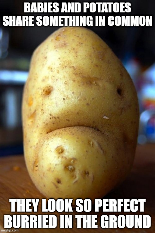 Burried | BABIES AND POTATOES SHARE SOMETHING IN COMMON; THEY LOOK SO PERFECT BURRIED IN THE GROUND | image tagged in sad potato | made w/ Imgflip meme maker