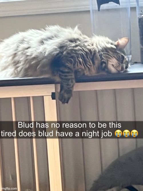 Blud has no reason to be this tired does blud have a night job 😭😭😭 | made w/ Imgflip meme maker