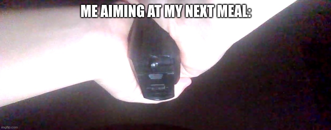 ME AIMING AT MY NEXT MEAL: | made w/ Imgflip meme maker