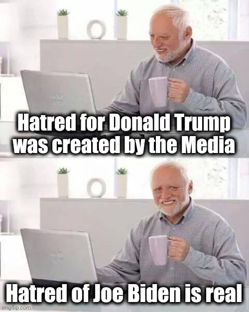 TDS and Covid - 19 | Hatred for Donald Trump was created by the Media; Hatred of Joe Biden is real | image tagged in memes,hide the pain harold,disease,thanks for nothing,politicians suck,makes you sick | made w/ Imgflip meme maker