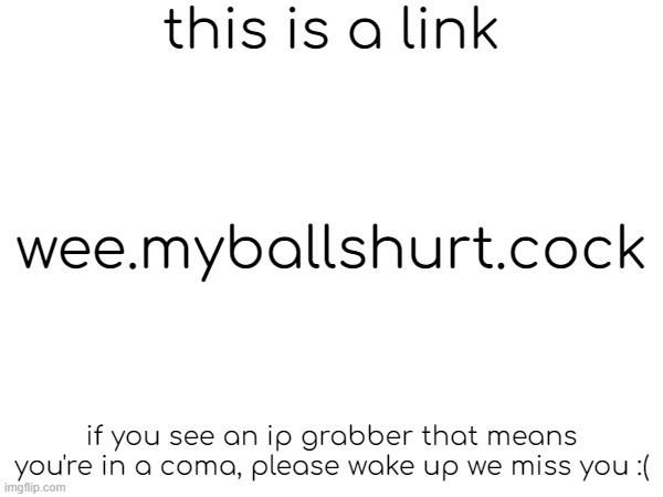 this is a link; wee.myballshurt.cock; if you see an ip grabber that means you're in a coma, please wake up we miss you :( | made w/ Imgflip meme maker