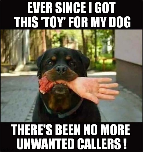 Stay Away Deterrent ! | EVER SINCE I GOT
 THIS 'TOY' FOR MY DOG; THERE'S BEEN NO MORE 
UNWANTED CALLERS ! | image tagged in dogs,rottweiler,hand,deterrent | made w/ Imgflip meme maker
