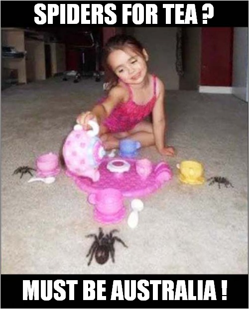 Spooky ! | SPIDERS FOR TEA ? MUST BE AUSTRALIA ! | image tagged in spooky,spiders,tea,australia | made w/ Imgflip meme maker