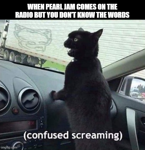 Who Does Know the Words to a Pearl Jam Song? | WHEN PEARL JAM COMES ON THE RADIO BUT YOU DON'T KNOW THE WORDS | image tagged in pearl jam | made w/ Imgflip meme maker
