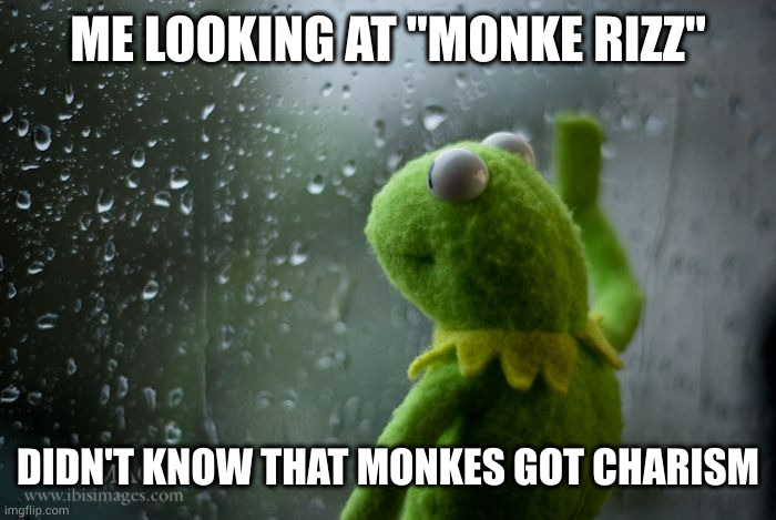 emotional damage | ME LOOKING AT "MONKE RIZZ"; DIDN'T KNOW THAT MONKES GOT CHARISM | image tagged in kermit window | made w/ Imgflip meme maker