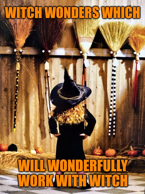 Witch Broom? | WITCH WONDERS WHICH; WILL WONDERFULLY WORK WITH WITCH | image tagged in witch broom | made w/ Imgflip meme maker