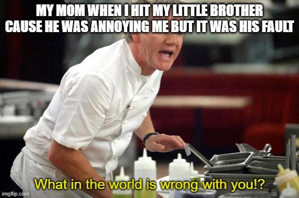 Gordan Ramsay What in the World is Wrong With You | MY MOM WHEN I HIT MY LITTLE BROTHER CAUSE HE WAS ANNOYING ME BUT IT WAS HIS FAULT | image tagged in gordan ramsay what in the world is wrong with you | made w/ Imgflip meme maker
